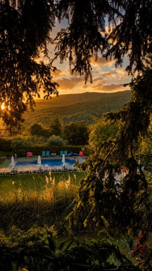 Piscina Gan Eden al tramonto circondata dal salice piangente, campagna toscana, San Benedetto del Querceto