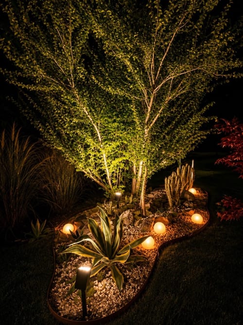 Il giardino notturno illuminato del Gan Eden B&B con luci radenti sugli alberi e luci ambientali tra le piante desertiche