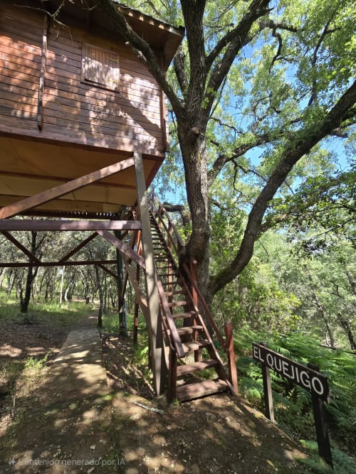 Cabaña en árbol El Quejigo del Ecolodge de Cabañeros con escaleras metálicas y plataforma de madera entre robles