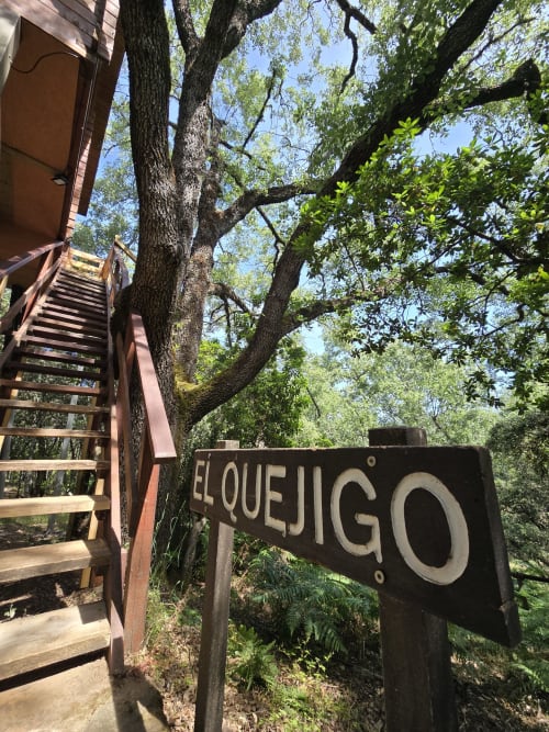 Entrada de la cabaña El Quejigo con escaleras de madera bajo antiguo roble en Ecolodge de Cabañeros, Parque Nacional de Cabañeros