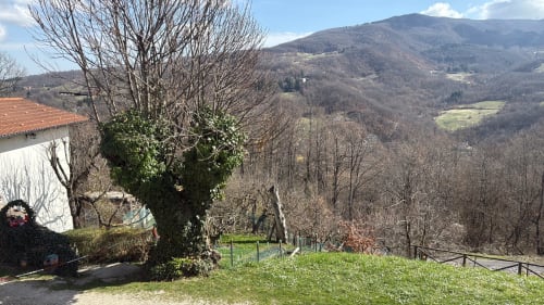 Vista panoramica della valle di montagna dal balcone di R&B La Villa, San Benedetto Val di Sambro, Italia