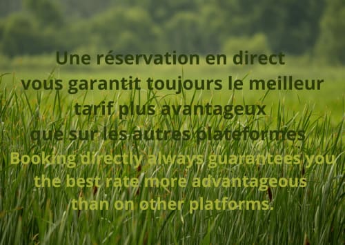 Paysage verdoyant mettant en avant les avantages de la réservation directe au Domaine de l'Ocrerie, Pourrain