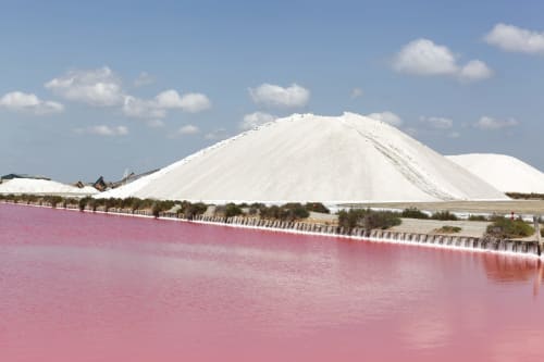 Pink salt pond with white salt mountain and trees, Aigues-Mortes, France near Le Palmier B&B