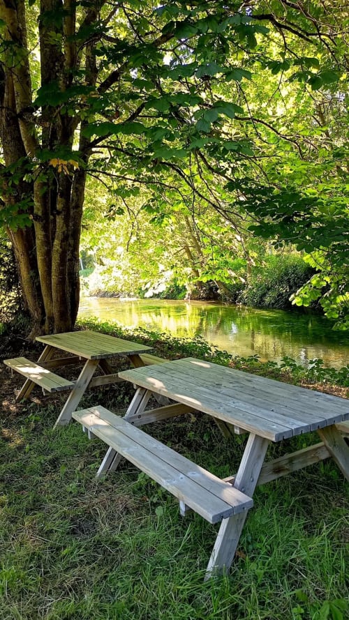 Table de pique-nique au bord de la Charente sous les arbres feuillu au Domaine Alga, Bourg-Charente