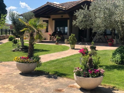 Patio de La Senda del Duraton en Sebúlcor con macetas floridas, palmeras y terraza de piedra