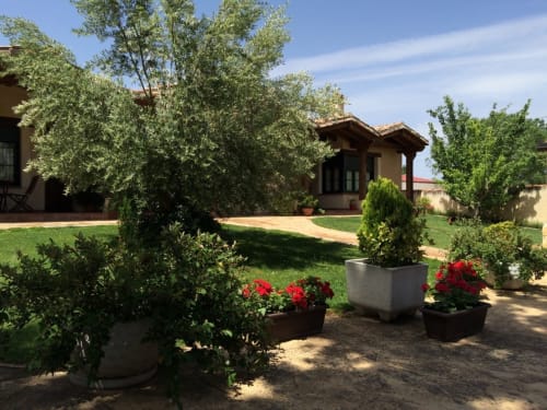 Exuberante patio con flores en macetas, olivos y arquitectura tradicional española en La Senda del Duraton