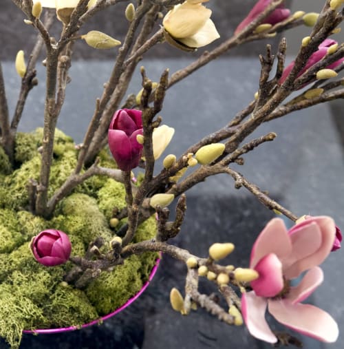 Flores de magnolia en flor en las ramas con musgo en el Hostal Doña Blanca, España