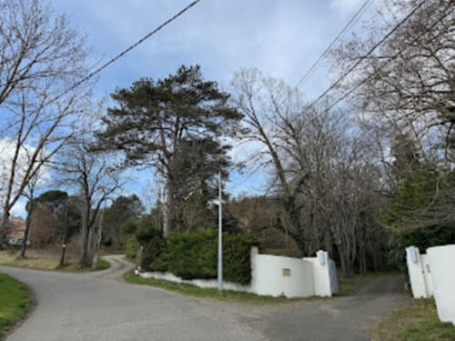 Allée bordée d'arbres avec clôture blanche au Domaine de Bize, manoir-hôtel en Ariège, Mirepoix