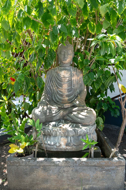 Statue de Bouddha en pierre entourée de végétation luxuriante et de plantes fleuries dans les jardins tropicaux des Balcons d'Oyster