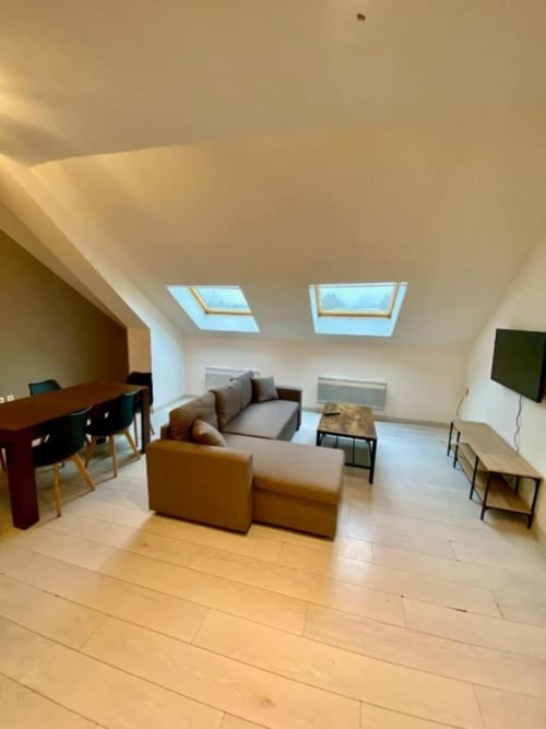 Appartement studio moderne à Business Apparts Caudry avec lucarne, séjour meublé, bureau et télévision écran plat