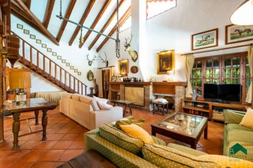 Espacioso salón rústico en Barrosa Home con vigas vistas, chimenea, asientos verdes y decoración de caza