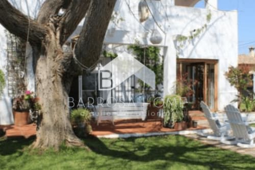 Patio de la Casa Barrosa con árbol centenario, edificio blanco, patio de barro cocido y sillas Adirondack en España