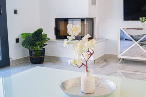 Modernes Wohnzimmer im Barrosa Home mit weißer Orchideengestaltung, Topfpflanze, Kamin und Küstenkunst