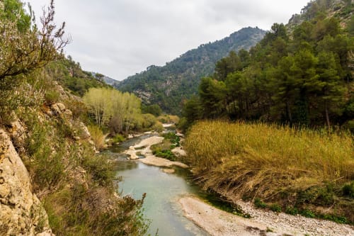Sereno valle fluvial con aguas cristalinas fluyendo entre montañas boscosas cerca de Ròtova, España