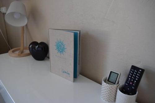Desk in Privilege Double Room at Hôtel l'Orangeraie Lavandou with lamp, book, heart decoration, and remote controls