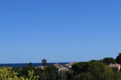 Mediterranean Sea view from Hôtel l'Orangeraie Lavandou with palm trees and coastal villas