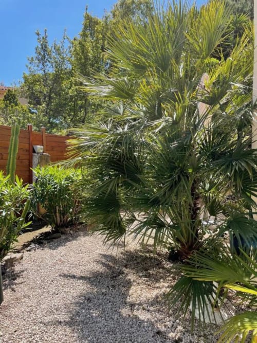 Tropical garden view with lush palm trees and gravel pathways at Hôtel l'Orangeraie in Le Lavandou, France