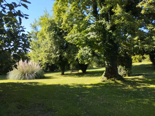 Jardin verdoyant du Gîte La Vieille Ferme de La Doinie à Saint-Geniès avec arbres majestueux, pelouse luxuriante et banc