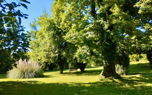 Jardins verdoyants avec arbres matures et coin détente à la Gîte La Vieille Ferme de La Doinie à Saint-Geniès, France