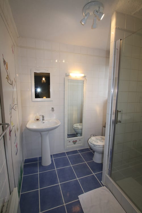 Salle de bains lumineuse avec carrelage blanc, lavabo sur colonne, toilettes et douche vitrée, sol en carrelage bleu, au Gîte La