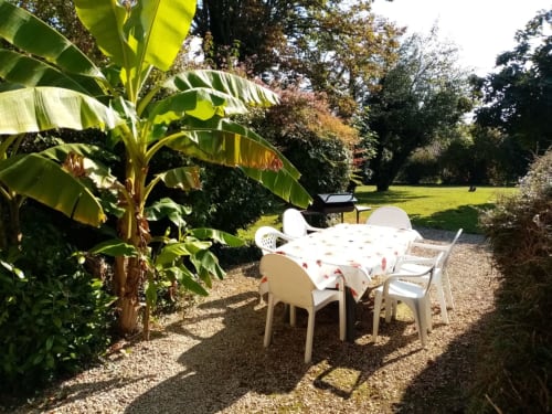 Espace de restauration en plein air au Gîte La Vieille Ferme avec table blanche, chaises et bananier dans le jardin de Saint-Geniès