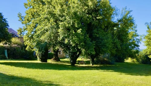 Jardin verdoyant avec de grands arbres d'ombre au Gîte La Vieille Ferme de La Dounie, un charmant bed and breakfast à Saint-Geniès,
