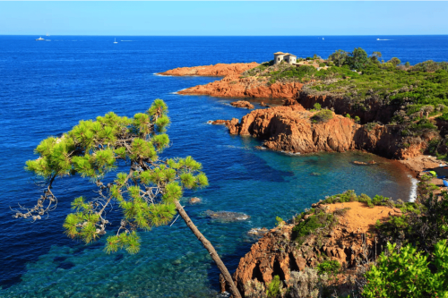 Rocky Mediterranean coastline with pine tree and sailboats near Pipa Polaris, Spéracèdes