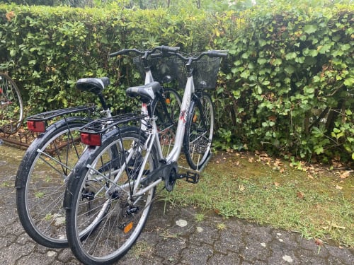 Due biciclette bianche con cesti parcheggiate contro siepi verdi a La Casetta dei Ronchi, Marina di Massa