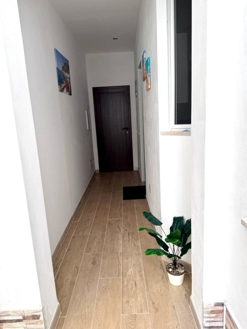 Bright hallway in Casa Vacanze La Coccinella apartment, Trapani, with wood-look flooring, white walls, dark door, and potted