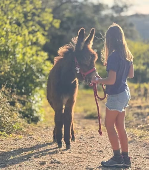 Rapariga com cavalo na trilha campestre da Quinta Do Carril, Portugal