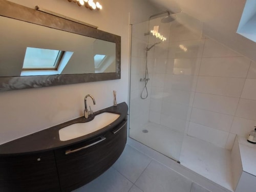 Salle de bains moderne à DOMAINE DES OISEAUX DE PASSAGE avec vasque noire incurvée, miroir encadré, douche à l'italienne et puits de lumière