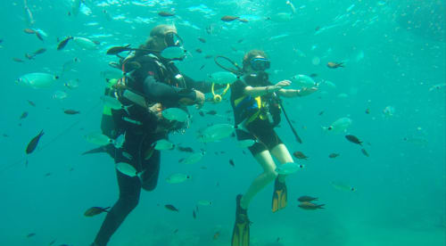 Two scuba divers exploring turquoise waters with fish at Marina di Bravone, Linguizzetta