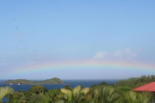 Arc-en-ciel au-dessus de la mer turquoise avec végétation tropicale à l'Art Lodge Kafé à Bouillante, Guadeloupe