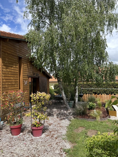 Patio douillet avec bouleau, plantes en pots et chalet à la Chambre D'hôtes Magaadjukalo, Saint-Maurice-de-Lignon