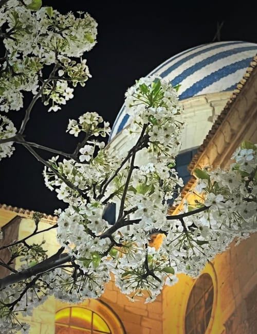 Ramas con flores blancas y cúpula de rayas azules del Alojamientos Yecla Centro, detalle arquitectónico nocturno
