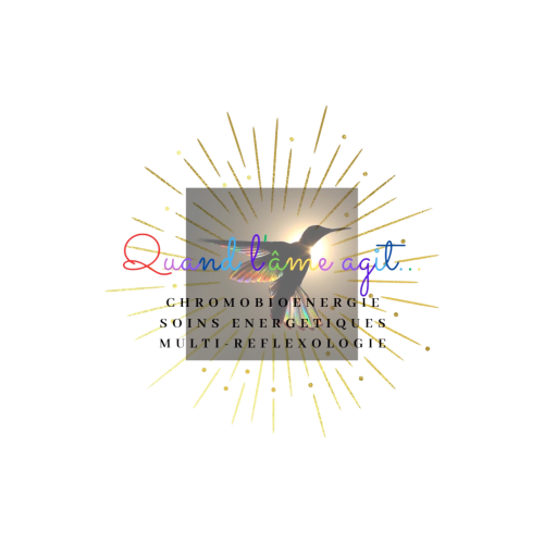 Logo Quantum Agile Chromobioénergie avec rayons dorés et silhouette d'oiseau pour la retraite bien-être de Saint-Maurice-de-Lignon