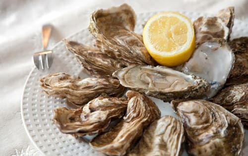 Huîtres fraîches au citron sur assiette blanche à La Villa Monarque, Cap d'Agde