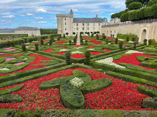 Jardins à la française du château avec fleurs rouges et haies géométriques à Vivre l'Instant à Amboise
