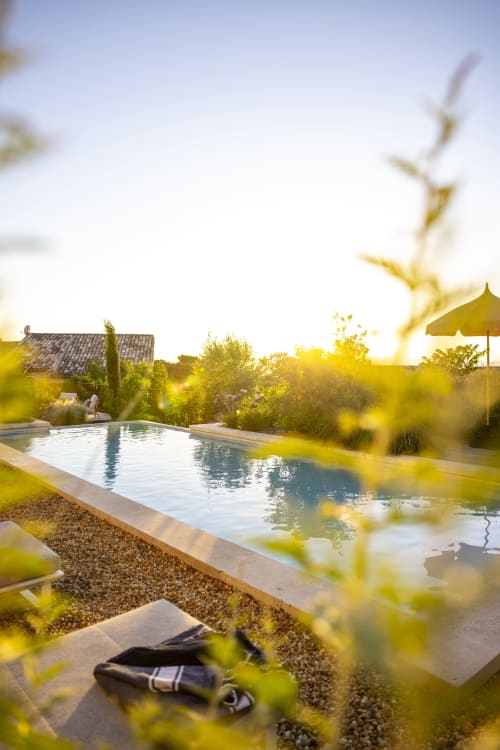 Piscine ensoleillée à La Maison des Jardins B&B à Gigondas, entourée de plantes et d'un parasol jaune