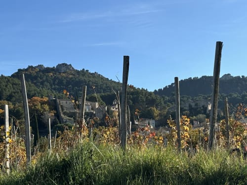 Vue du vignoble du village historique de Gigondas avec ruines de pierre et montagnes, La Maison des Jardins