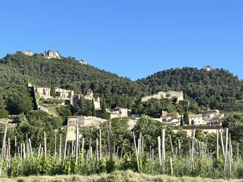 Village médiéval aux bâtiments de pierre et vignobles à Gigondas, France - La Maison des Jardins Gîte