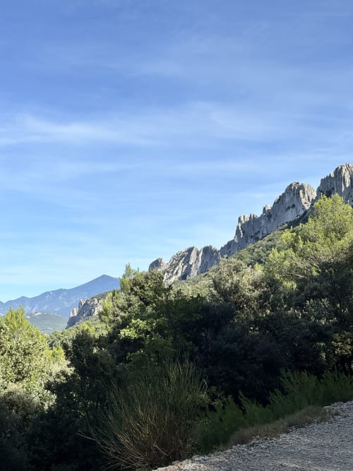 Falaises rocheuses et végétation luxuriante le long d'un sentier près de Gigondas, France avec vue sur les montagnes lointaines