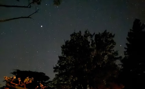 Céu estrelado sobre a Quinta do Carril em Reguengo, Portugal, com árvores silhuetadas e claridade de fogo