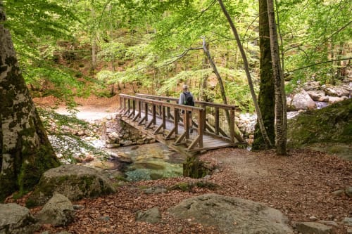 Pont en bois enjambant un ruisseau en forêt aux Chalets de Lozzi, Calacuccia, entouré d'arbres couverts de mousse et de sentiers de randonnée
