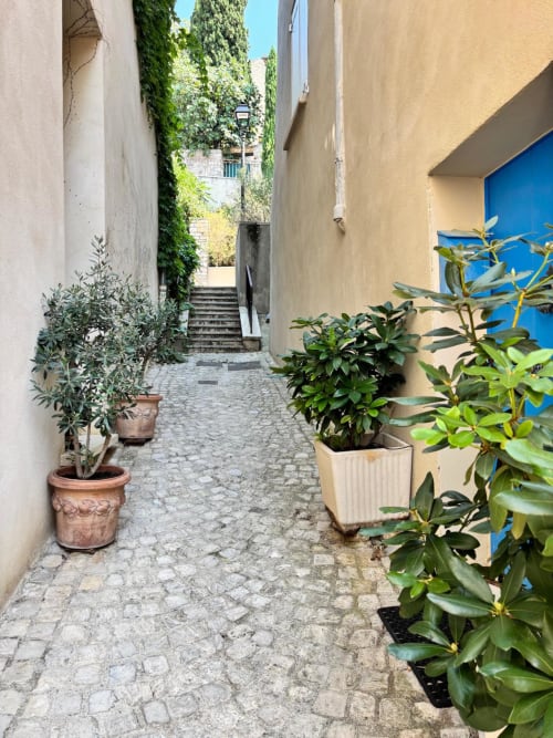 Charmant sentier du patio à La Maison des Jardins B&B à Gigondas, bordé de plantes en pot et de murs couverts de lierre