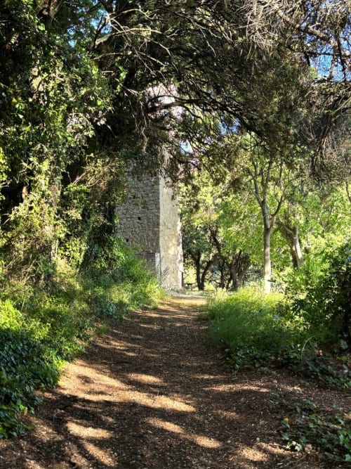 Allée bordée d'arbres menant à une tour en pierre historique à La Maison des Jardins, boutique hôtel à Gigondas