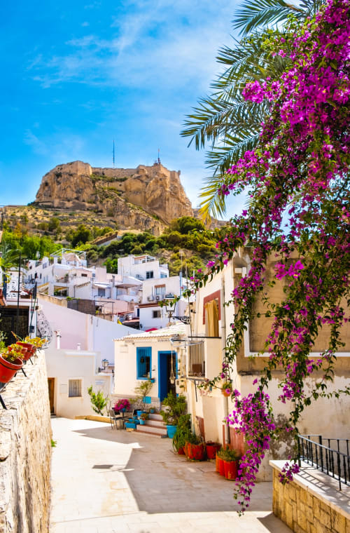 Encantadora calle de Alicante con edificios blancos, buganvillas magenta vibrantes, palmeras y fortaleza en ladera rocosa