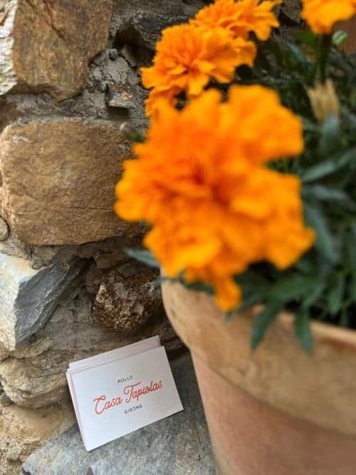 Flores naranja brillantes floreciendo cerca del muro de piedra de Casa Tapiolas en Molló, Girona