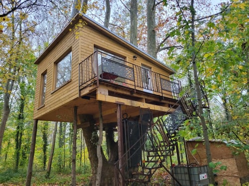 Cabane en bois perchée sur pilotis entourée par la forêt automnale du Domaine des Oiseaux de Passage