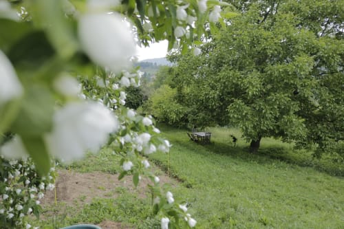 Jardín con flores blancas con vistas a un valle verde en la casa rural Casa Tapiolas en Molló, Girona